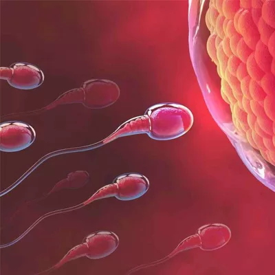 Fertility-Treatment Fertility-Treatment